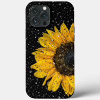 Sonnenblumen und Regentropfen
