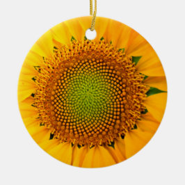 Sonnenblumen und Samen, Spirale, Goldenes Verhältn Keramik Ornament