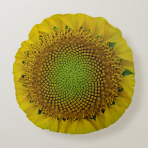 Sonnenblumen und Samen, Spirale, Goldenes Verhältn Rundes Kissen