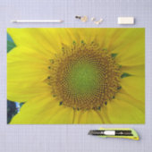 Sonnenblumen und Samen, Spirale, Goldenes Verhältn Seidenpapier (Handwerk)