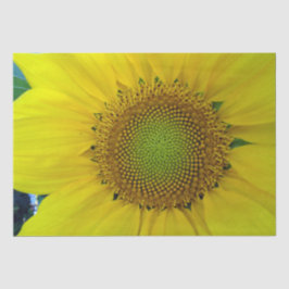 Sonnenblumen und Samen, Spirale, Goldenes Verhältn Seidenpapier