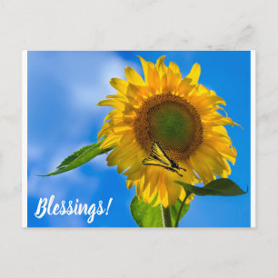 Sonnenblumen und Schmetterling Postkarte