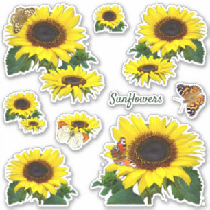 Sonnenblumen und Schmetterlinge schneiden Vinyl St Aufkleber