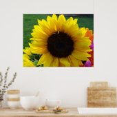 Sonnenblumen und Sonnenschein (2) Poster (Küche)