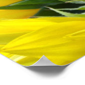 Sonnenblumen und Sonnenschein (2) Poster (Ecke)
