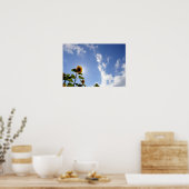 Sonnenblumen und Sonnenschein Poster (Küche)
