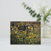 Sonnenblumen und Traktor Postkarte (Stehend Vorderseite)