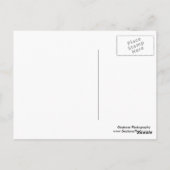 Sonnenblumen und Traktor Postkarte (Rückseite)