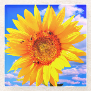 Sonnenblumen und Untersetzer aus Bienenglas