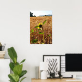 Sonnenblumen und Weizen Poster (Heimbüro)