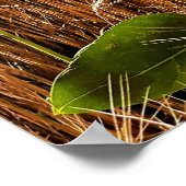 Sonnenblumen und Weizen Poster (Ecke)