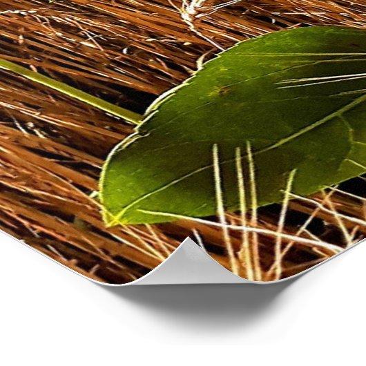 Sonnenblumen und Weizen Poster (Ecke)