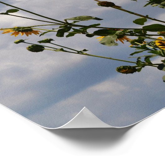 Sonnenblumen und Wolken Bibel Verse Art Poster (Ecke)