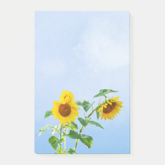 Sonnenblumen unter Blue Sky Post-it Klebezettel (Vorderseite)