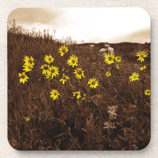 Sonnenblumen Untersetzer (Vorderseite)