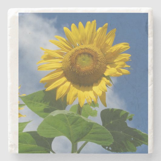 Sonnenblumen-Untersetzer Steinuntersetzer (Vorderseite)