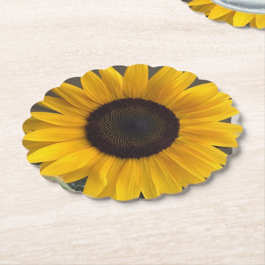 Sonnenblumen-Untersetzer Untersetzer (angewinkelt)