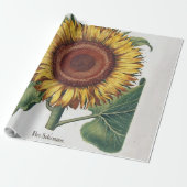 Sonnenblumen Vintag Damask Blume Art Geschenkpapier (Ungerollt)
