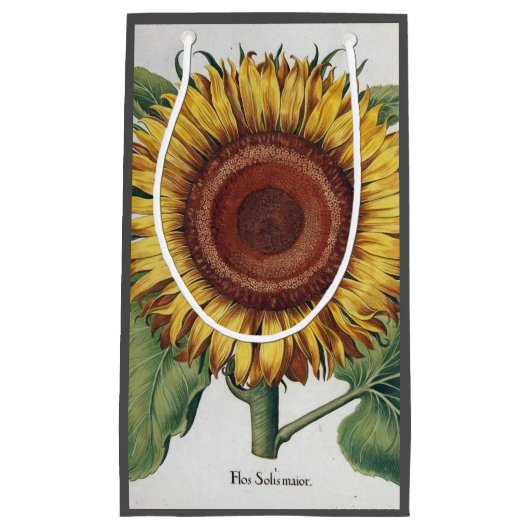 Sonnenblumen Vintag Damask Blume Art Kleine Geschenktüte (Vorderseite)
