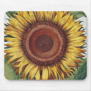 Sonnenblumen Vintag Damask Blume Art Mousepad