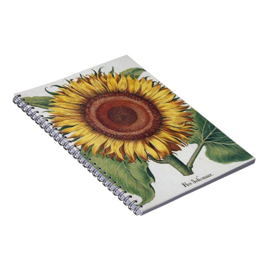 Sonnenblumen Vintag Damask Blume Art Notizblock (Rechte Seite)