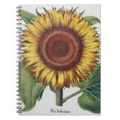 Sonnenblumen Vintag Damask Blume Art Notizblock (Vorderseite)