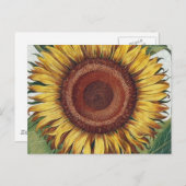 Sonnenblumen Vintag Damask Blume Art Postkarte (Vorne/Hinten)