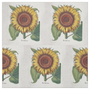 Sonnenblumen Vintag Damask Blume Art Stoff