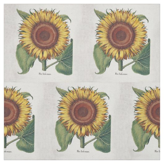 Sonnenblumen Vintag Damask Blume Art Stoff (Muster)
