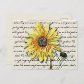 Sonnenblumen Vintage Aquarellmalerei Postkarte (Vorne/Hinten)