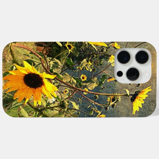 Sonnenblumen vor Sturmwolken Case-Mate iPhone Hülle (Rückseite (Horizontal))