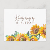 Sonnenblumen Weiße, rustikale UAWG Song Postkarte (Vorderseite)