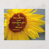 Sonnenblumen wie eine Blume Zitat Fotografisch Postkarte (Vorderseite)