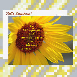 Sonnenblumen wie eine Blume Zitat Fotografisch Postkarte