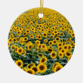 Sonnenblumen, Wisconsin-Feld Keramik Ornament (Vorne)