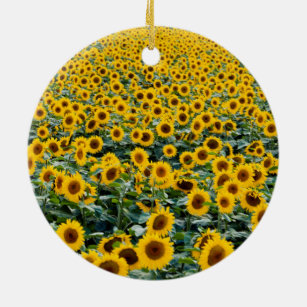 Sonnenblumen, Wisconsin-Feld Keramik Ornament