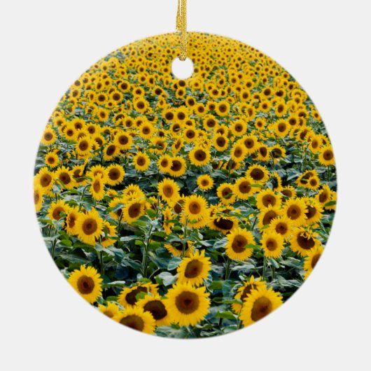 Sonnenblumen, Wisconsin-Feld Keramik Ornament (Hinten)