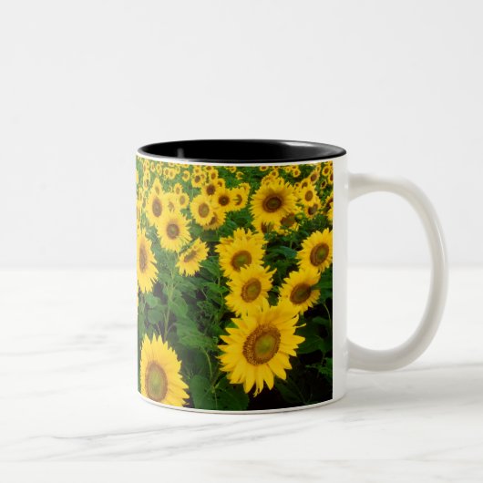 Sonnenblumen Zweifarbige Tasse (Rechts)