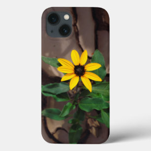 Sonnenblumenanbau aus Rack Case-Mate iPhone Hülle