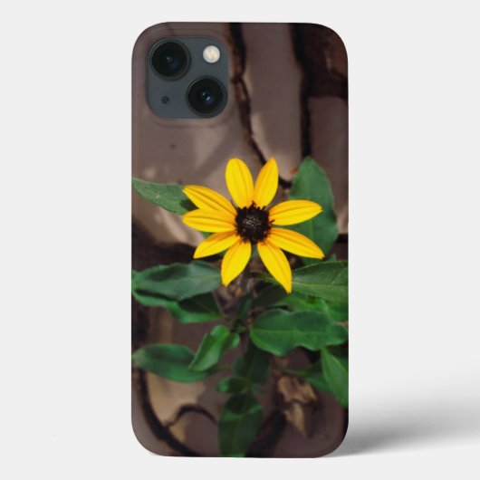 Sonnenblumenanbau aus Rack Case-Mate iPhone Hülle (Rückseite)
