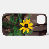 Sonnenblumenanbau aus Rack Case-Mate iPhone Hülle (Rückseite (Horizontal))