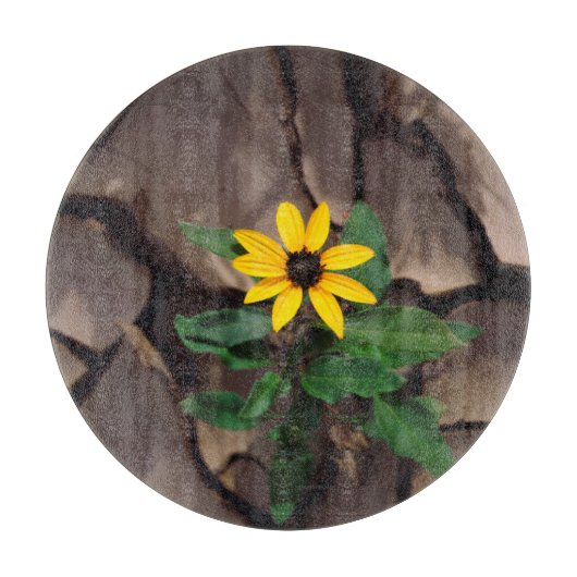 Sonnenblumenanbau aus Rack Schneidebrett (Vorderseite)