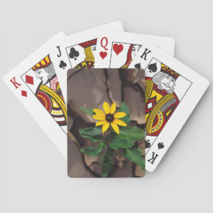 Sonnenblumenanbau aus Rack Spielkarten