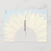 Sonnenblumenanbau Postkarte (Rückseite)
