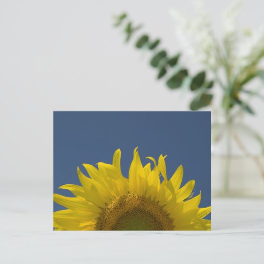 Sonnenblumenanbau Postkarte (Stehend Vorderseite)
