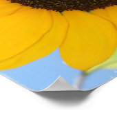 Sonnenblumenbild drucken poster (Ecke)