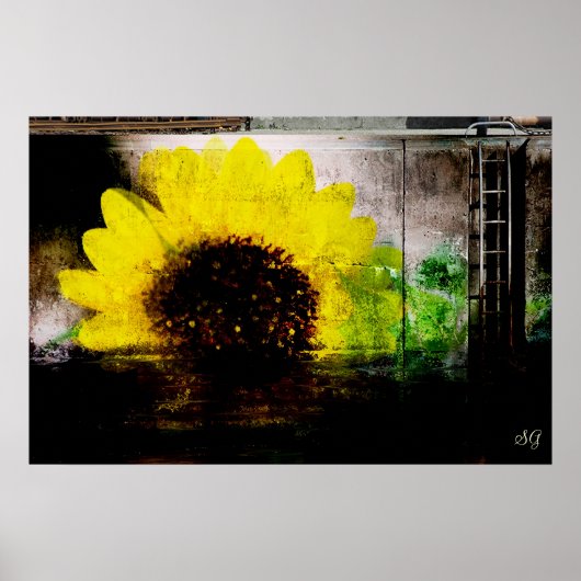 Sonnenblumenbild Poster (Vorne)