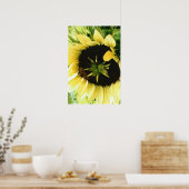 Sonnenblumenbild-Poster Poster (Küche)