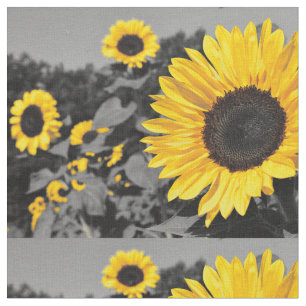 Sonnenblumenbild Stoff
