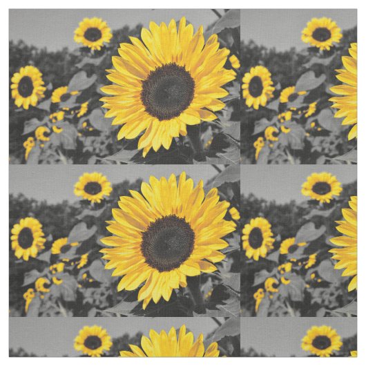 Sonnenblumenbild Stoff (Muster)